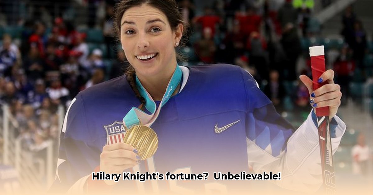 hilary-knight-net-worth
